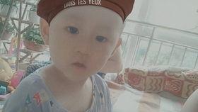 小林吃瓜结局,揭秘瓜田背后的惊人真相  第1张