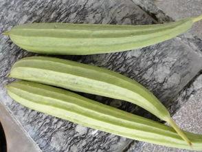 改不了吃瓜的毛病 第2张 改不了吃瓜的毛病 第2张