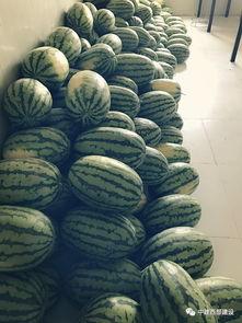 瓦舍员工吃瓜  第2张