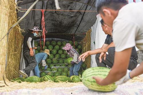 瓦舍员工吃瓜  第3张