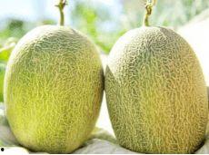 凉爽在剧里吃瓜  第1张