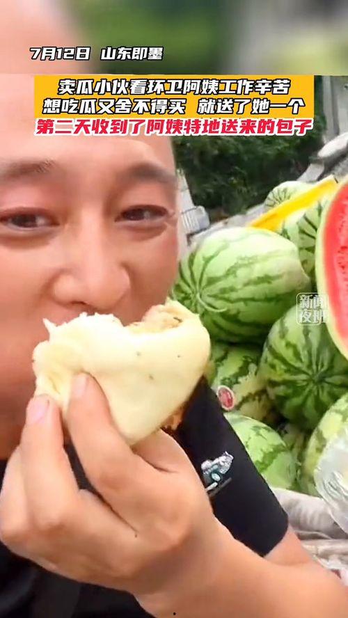 蓝阿姨吃瓜,蓝阿姨的瓜田奇遇记  第3张