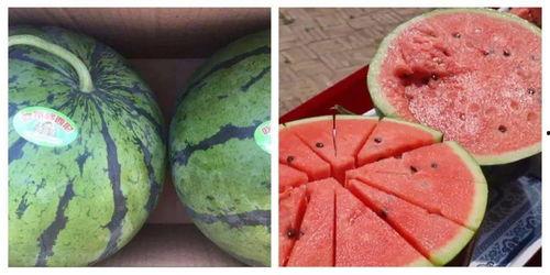 吃瓜学习最新,揭秘娱乐圈背后的故事与真相 第1张 吃瓜学习最新,揭秘娱乐圈背后的故事与真相 第1张