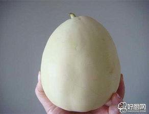 白兰瓜的皮可以吃吗 第2张 白兰瓜的皮可以吃吗 第2张