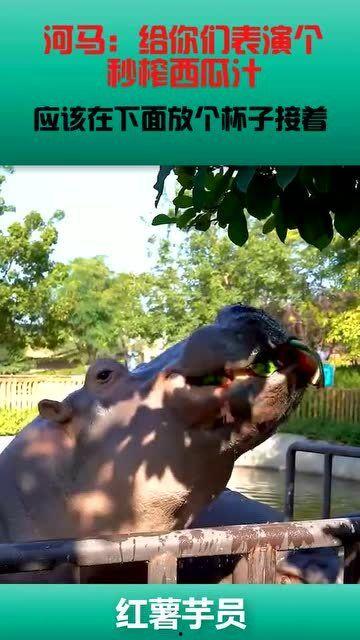 河马吃瓜gif 第2张 河马吃瓜gif 第2张