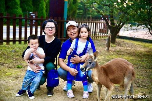 河马吃瓜gif 第3张 河马吃瓜gif 第3张