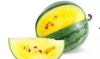 旧瓜怎么吃最好,探索最佳食用旧瓜的秘诀 第1张 旧瓜怎么吃最好,探索最佳食用旧瓜的秘诀 第1张