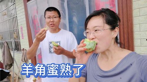 村里老嫂子吃瓜,笑谈家常乐无边  第3张