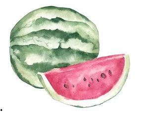 吃瓜和工作的区别,轻松与责任的双重解读 第2张 吃瓜和工作的区别,轻松与责任的双重解读 第2张