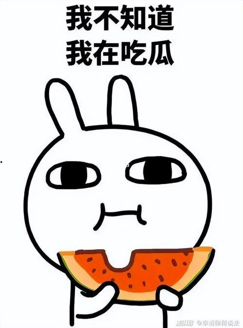 小鬼吃瓜后续,揭秘娱乐圈背后的秘密与真相 第1张 小鬼吃瓜后续,揭秘娱乐圈背后的秘密与真相 第1张