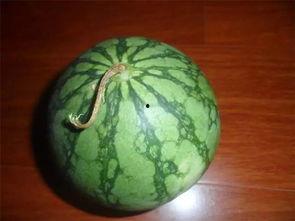 老是吃瓜  第2张