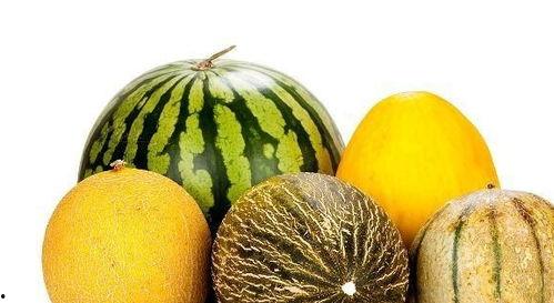 老是吃瓜  第3张