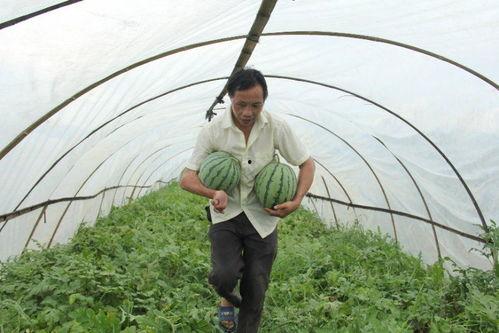 山西吃瓜群,揭秘民间美食背后的故事 第1张 山西吃瓜群,揭秘民间美食背后的故事 第1张