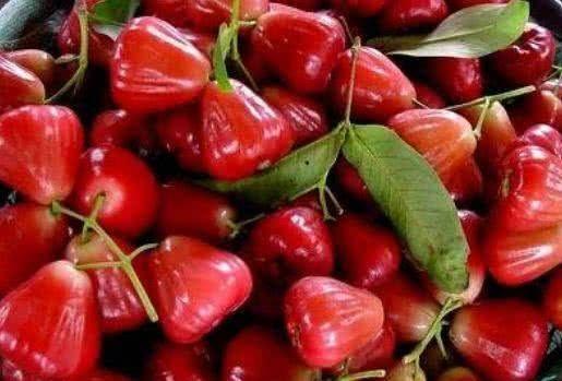 莲雾视频吃瓜网址,带你领略网络热点的魅力 第1张 莲雾视频吃瓜网址,带你领略网络热点的魅力 第1张