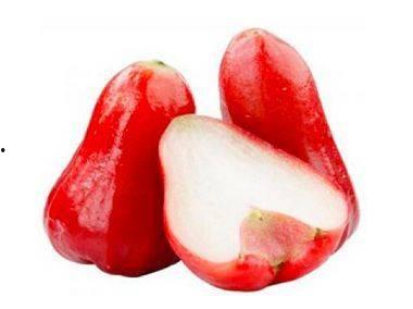 莲雾视频吃瓜网址,带你领略网络热点的魅力 第3张 莲雾视频吃瓜网址,带你领略网络热点的魅力 第3张