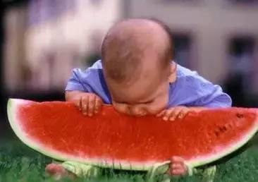 妙妙吃自己的瓜,一场关于成长与反思的奇妙之旅  第3张